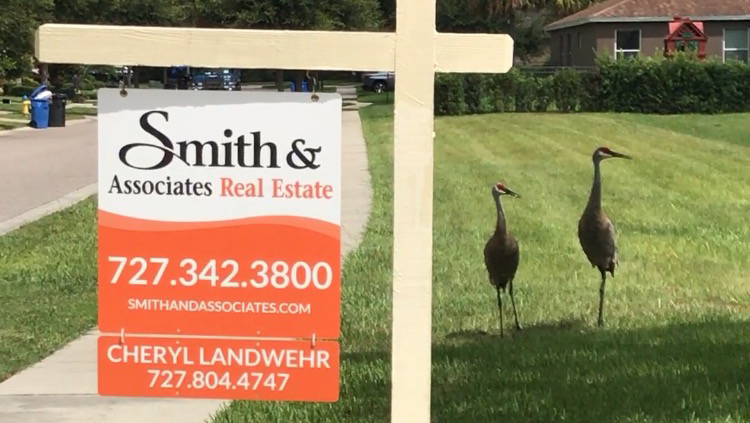 Cheryl Landwehr LLC image 1