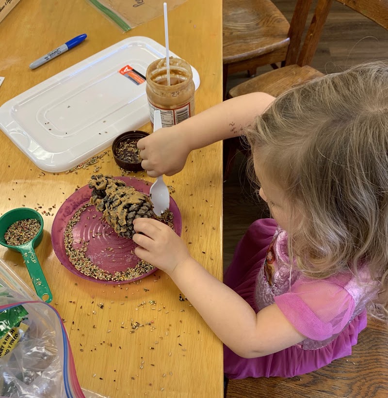 St Petersburg Primary School image 4