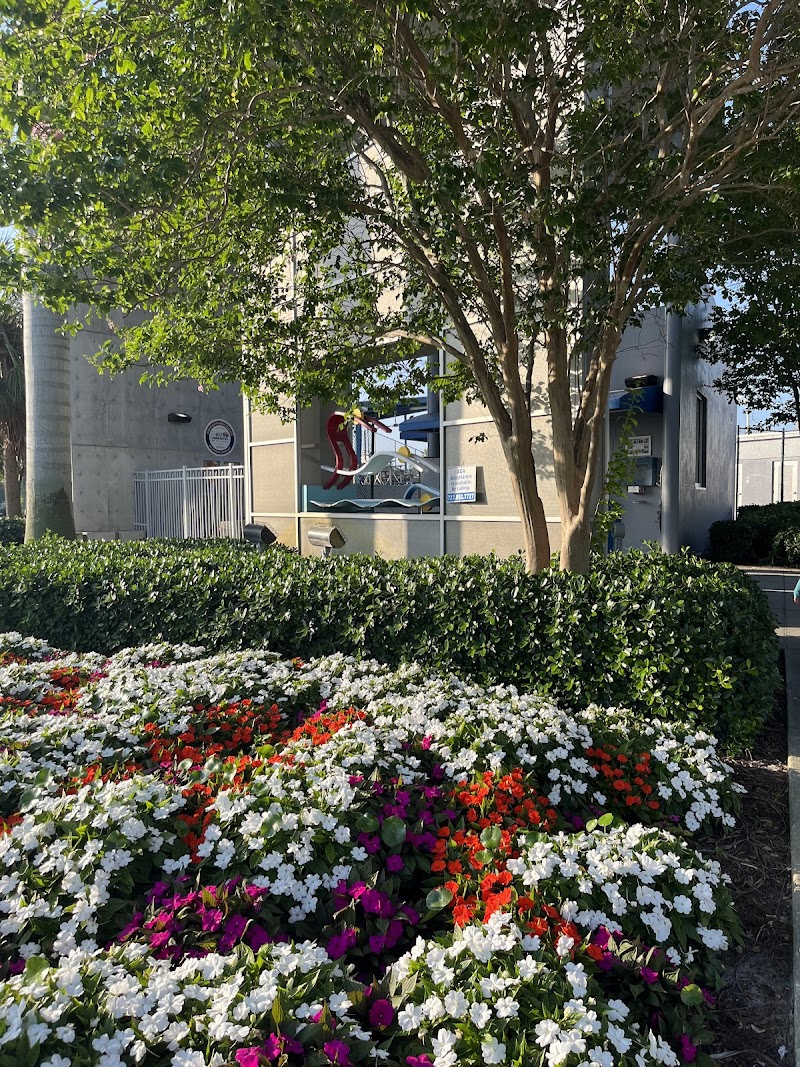 Hubbard Survival Swim School image 3