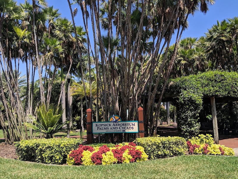 Gizella Kopsick Palm Arboretum image 1