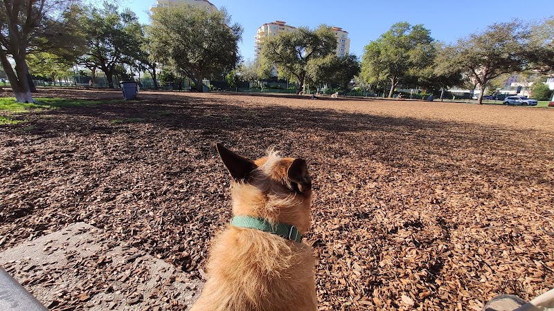 Small Dogs Park at the Vinoy Park of St petersburg - FL image 2