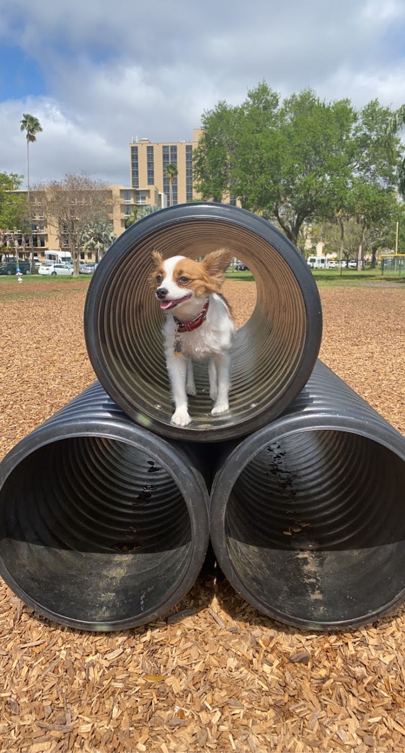Small Dogs Park at the Vinoy Park of St petersburg - FL image 4