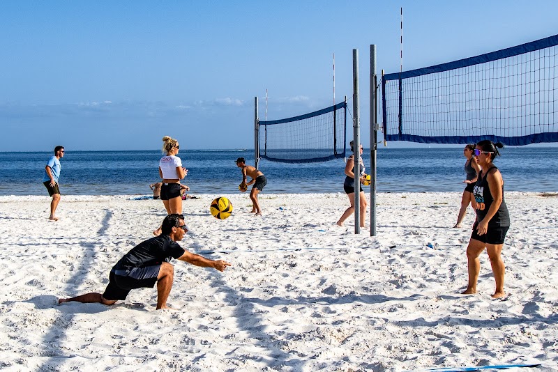 Volleyball Solutions image 3