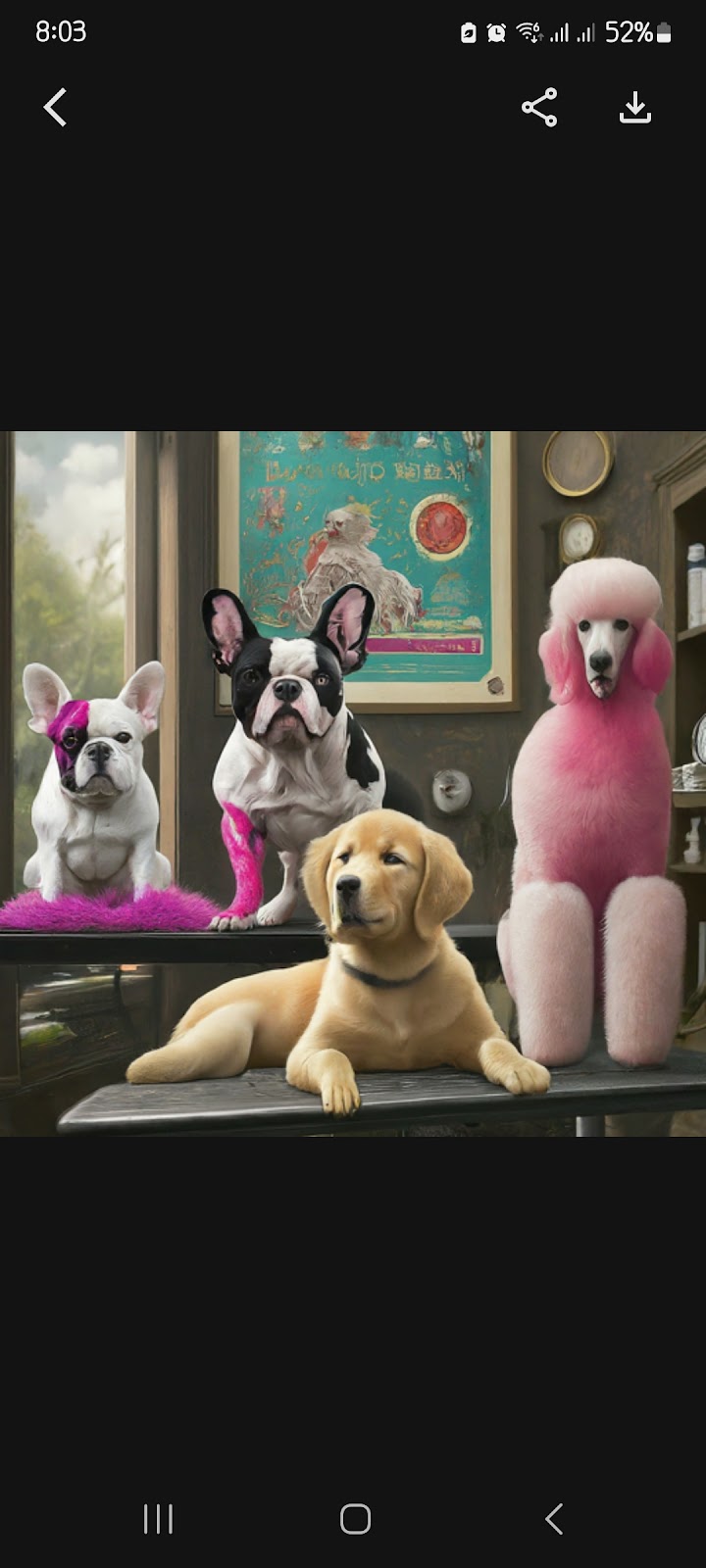 Wonderland Retreat - A Pet Resort &amp; Spa image 4