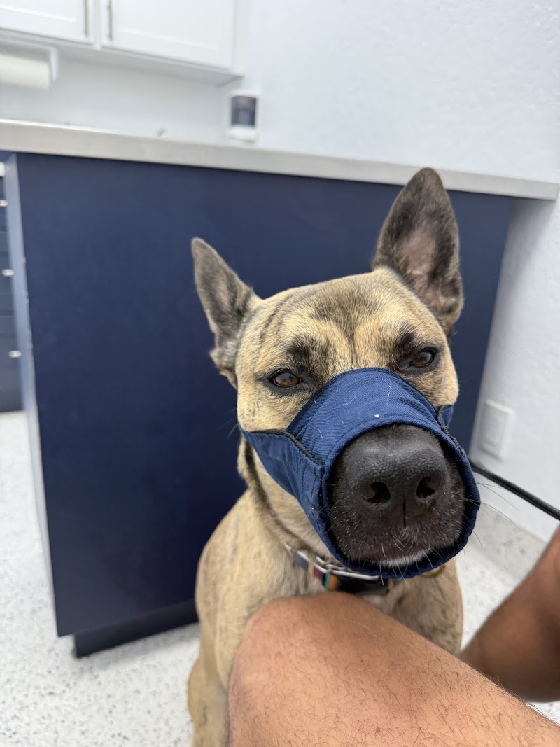 Florida Veterinary Clinic image 2