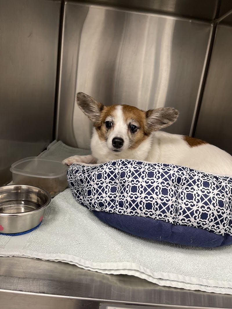 Florida Veterinary Clinic image 5