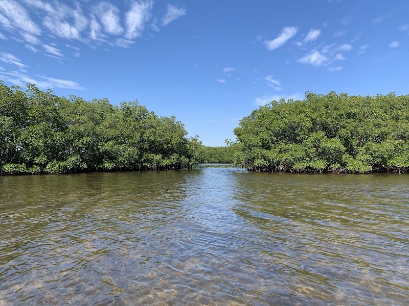 Sunlit Cove Boat Ramp image 1