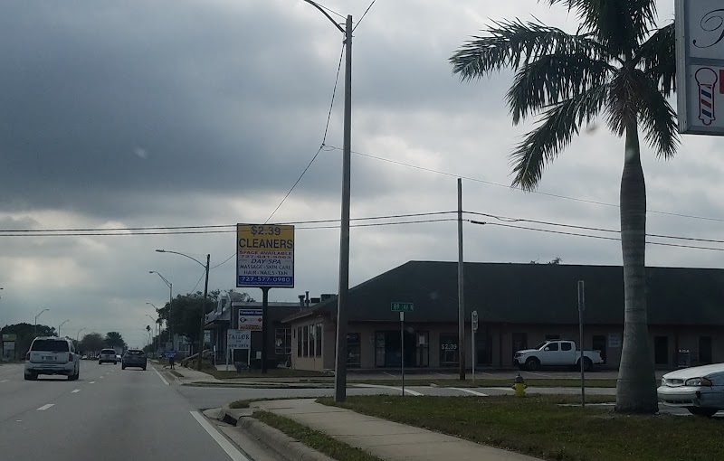 $2.39 Cleaners image 3