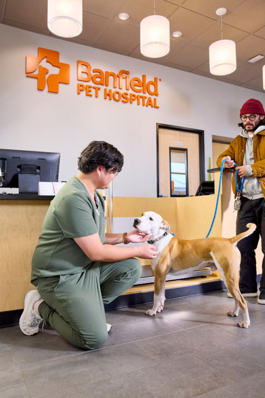 Banfield Pet Hospital image 2