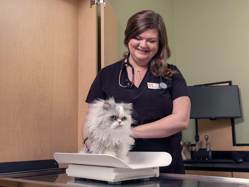 Banfield Pet Hospital image 4