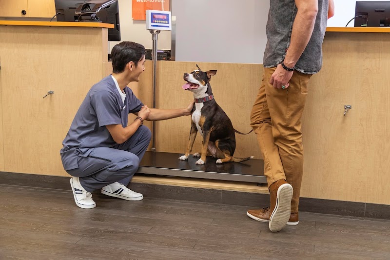 Banfield Pet Hospital image 5