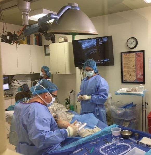 Dr. Edward G. Mackay, MD, RVT, RPVI image 3