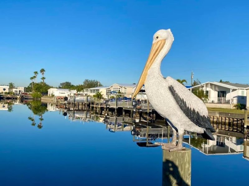 Americana Cove image 1