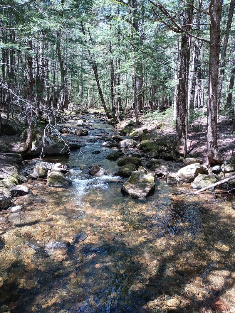 A Path to Wellness, LLC. image 1