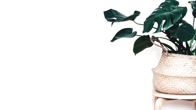 Luisa Villagomez, LCSW LLC image 1