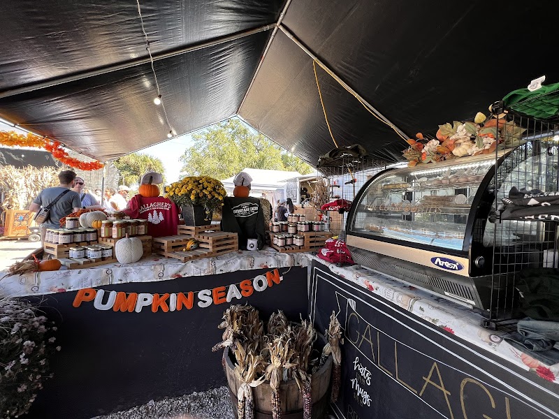 Gallagher's Pumpkin and Christmas Tree's patch image 5