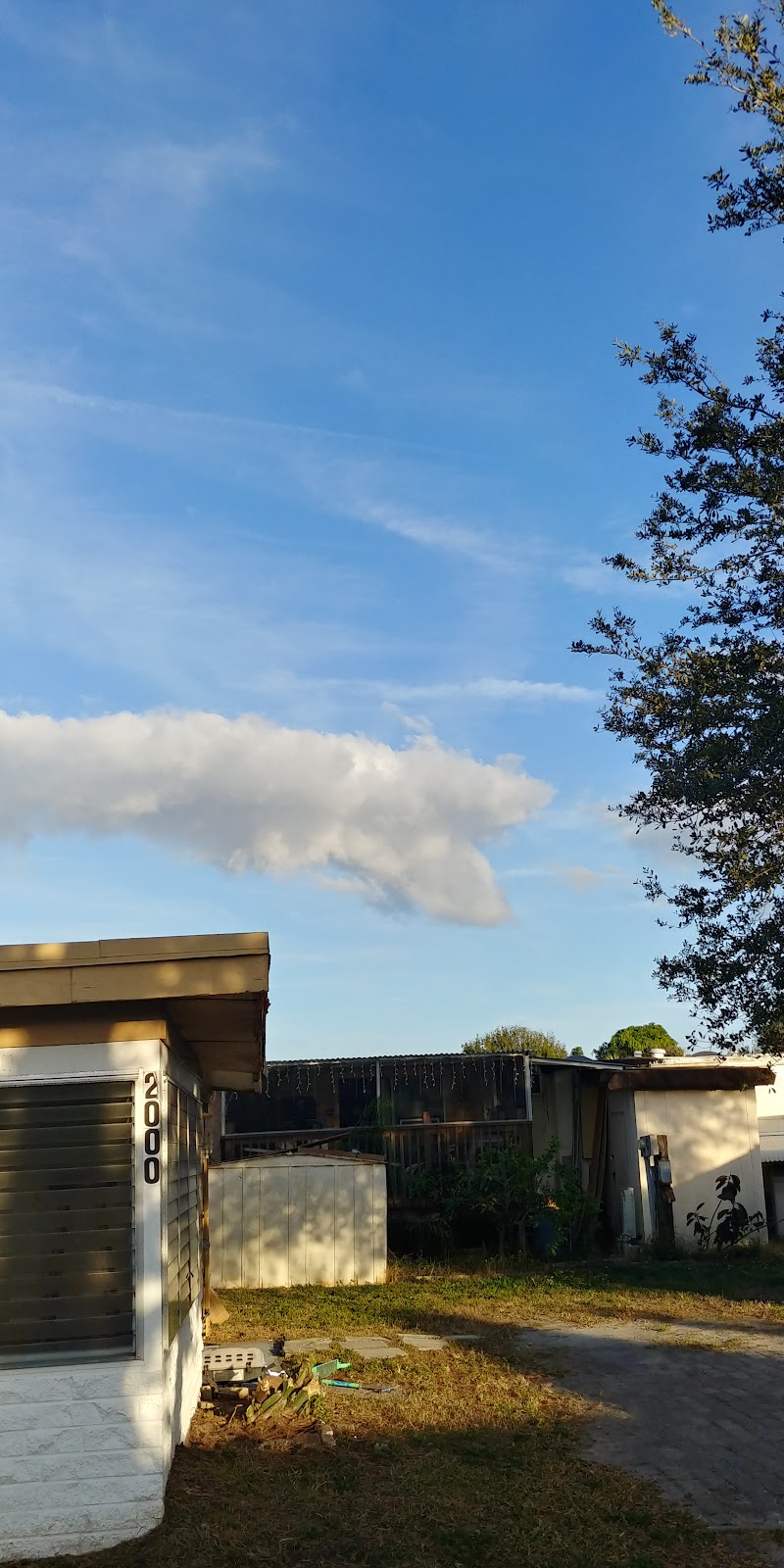 Hollywood MHC image 4