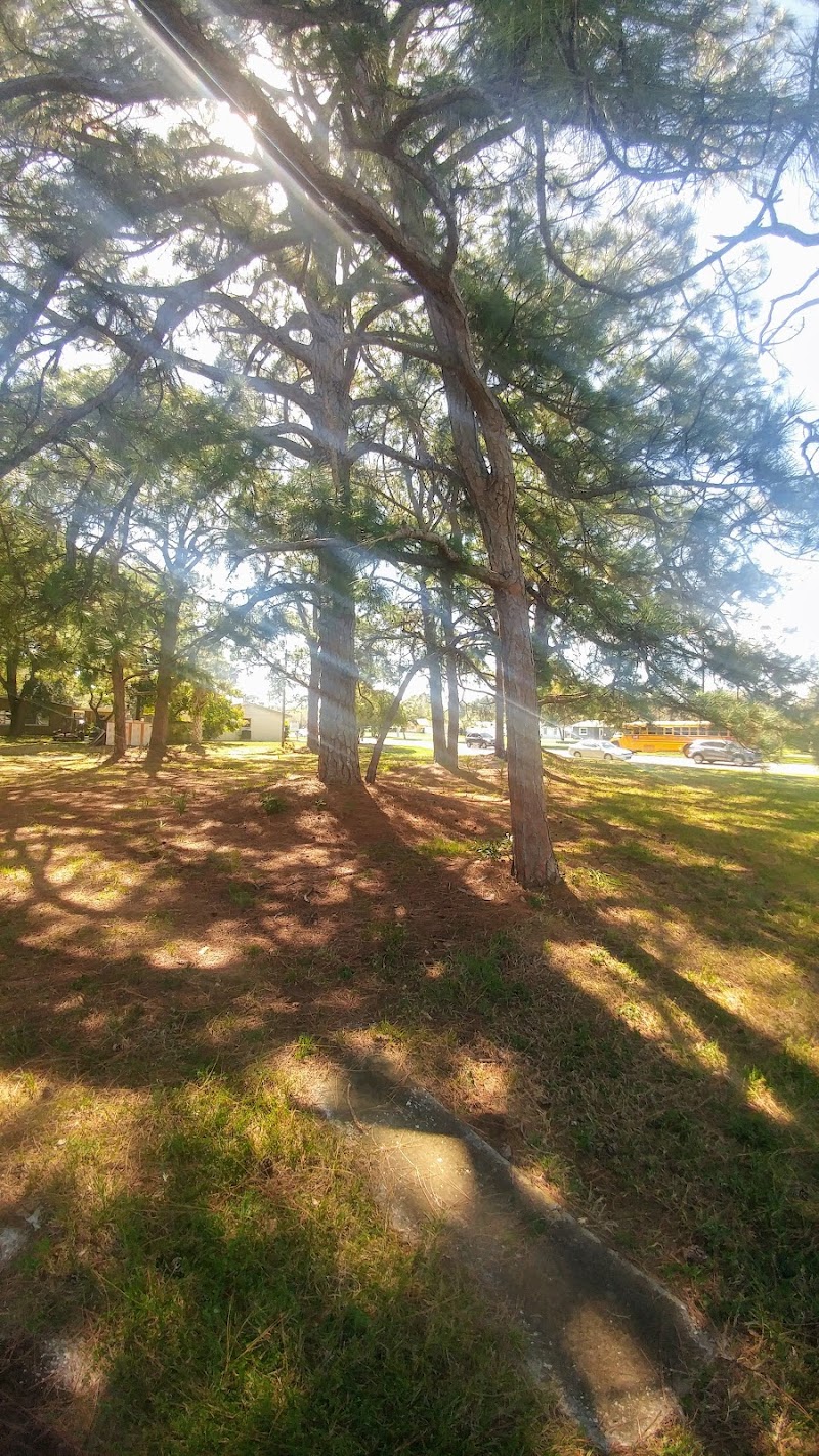 Hollywood MHC image 5