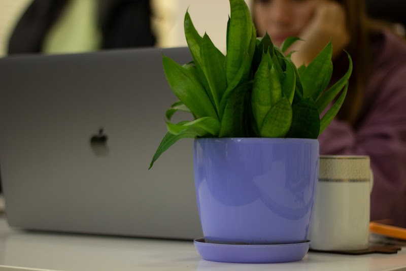 2muchcoffee | Web &amp; Mobile Development image 4