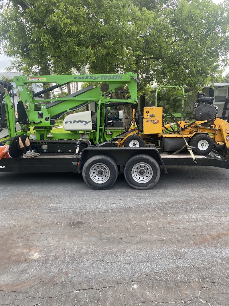 Four Leaf Clover image 1