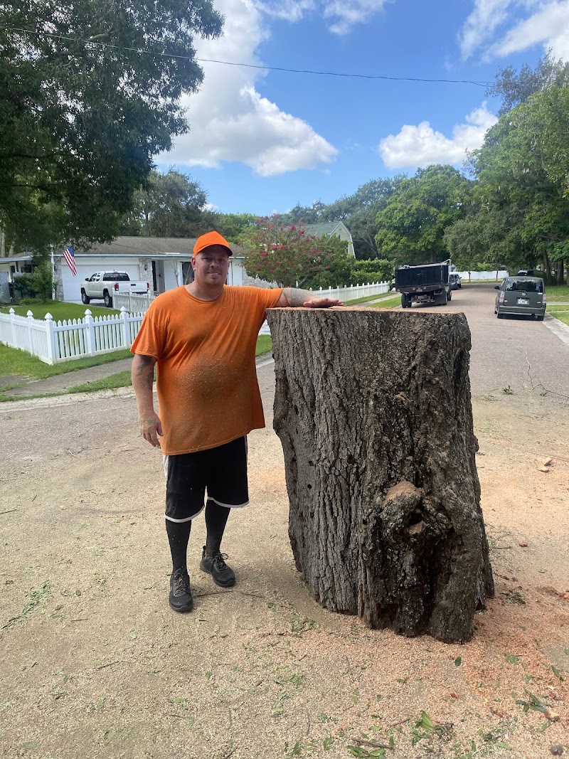 Four Leaf Clover image 2