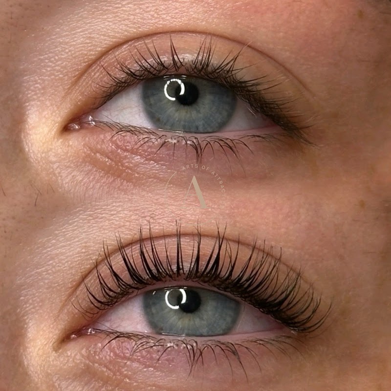 Arts Of Attraction image 1