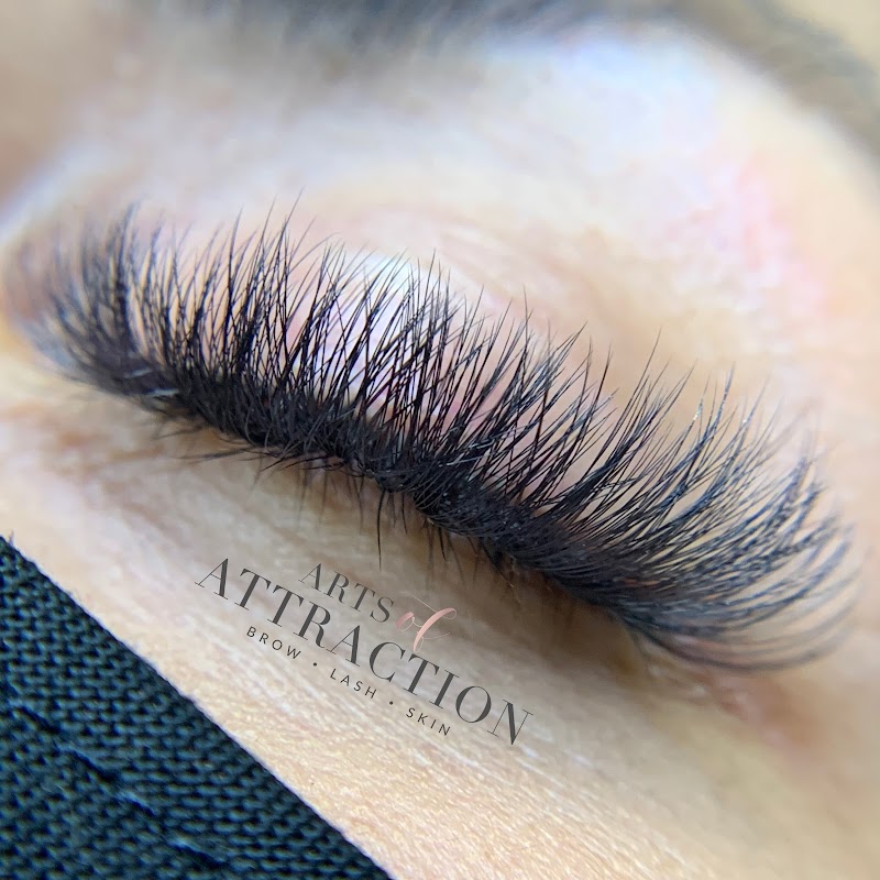 Arts Of Attraction image 3