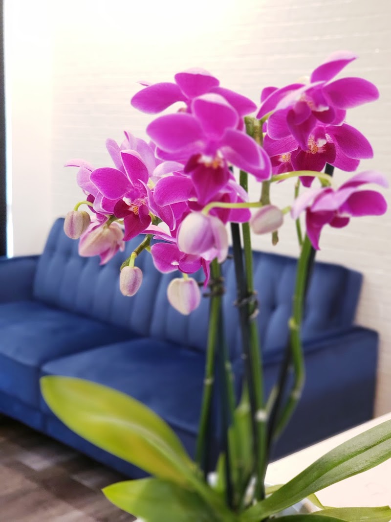 Thomas J. Gilton, D.M.D. image 3