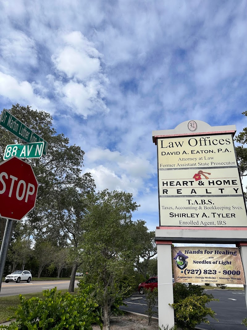 Hands for Healing with Needles of Light, Inc. image 3