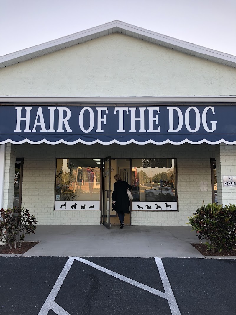 Hair of the Dog image 1