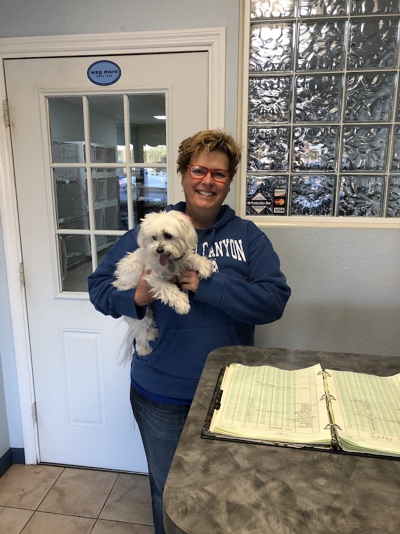 Hair of the Dog image 5