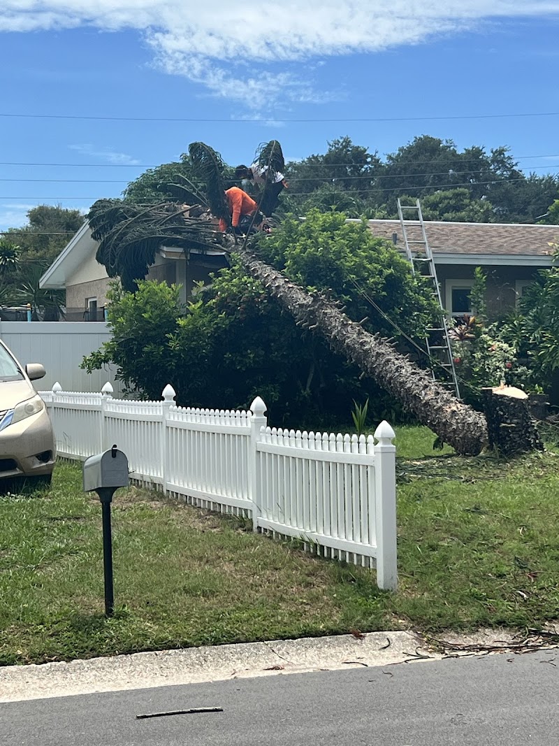 Reliable Claims Adjusting | Insurance Claims Adjuster image 2