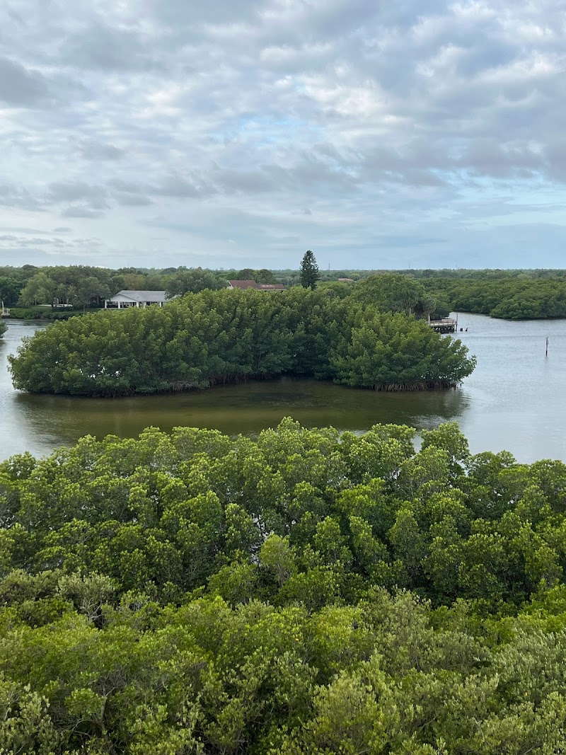 Mangrove Financial Group image 3