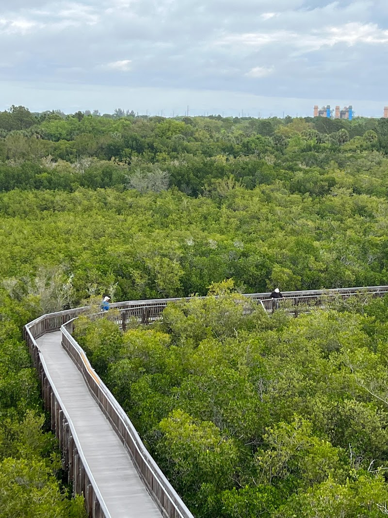 Mangrove Financial Group image 4