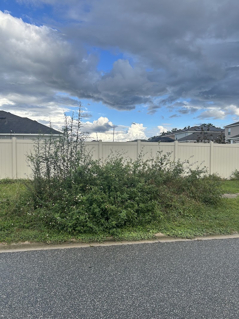 Associa Gulf Coast image 4