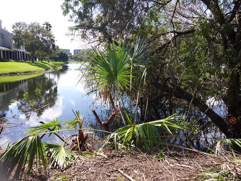 Rose Native Restoration image 1