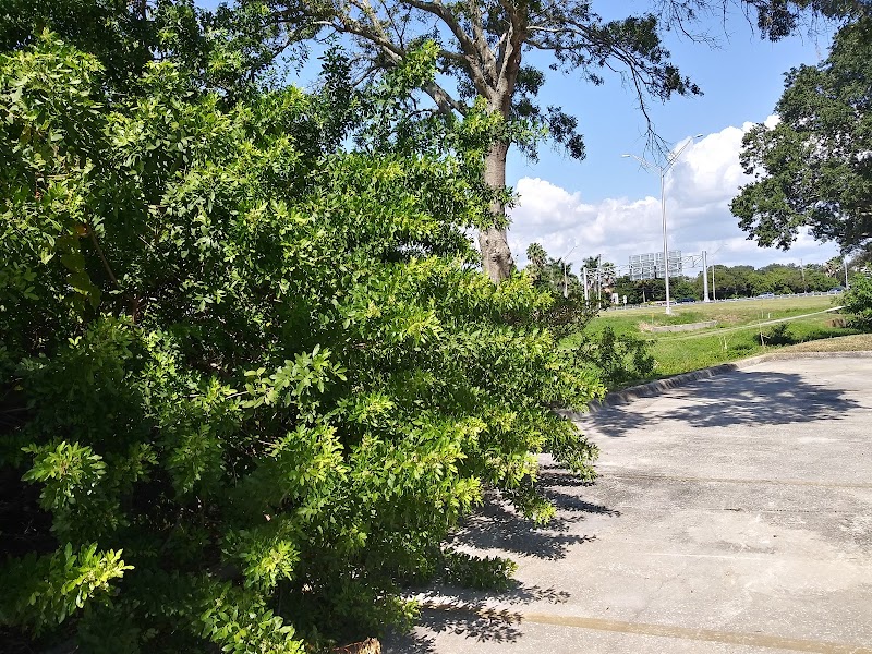 Rose Native Restoration image 2