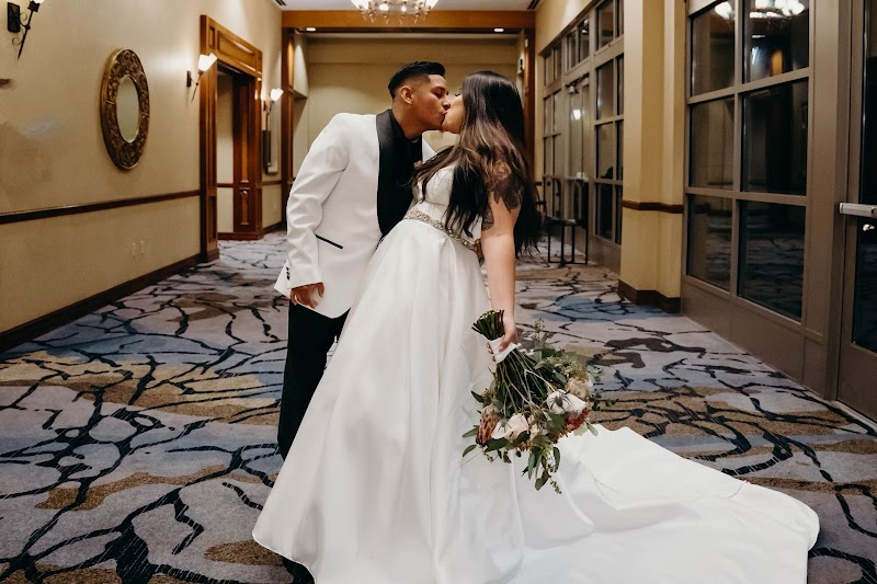 Opsis Photography image 1