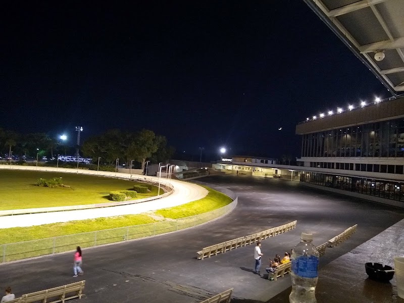 Win! Derby at Historic Derby Lane St Petersburg Gallery Image