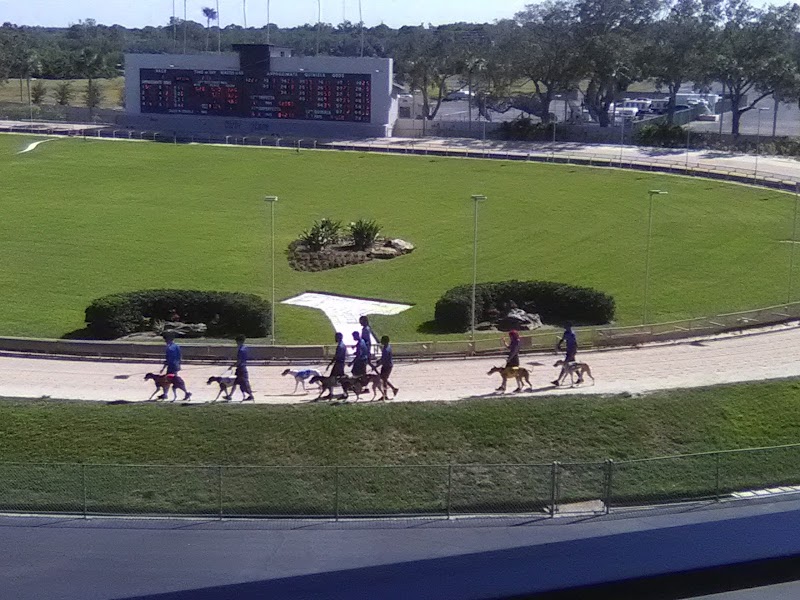 Circa 1925 at Derby Lane Greyhound Track image 1