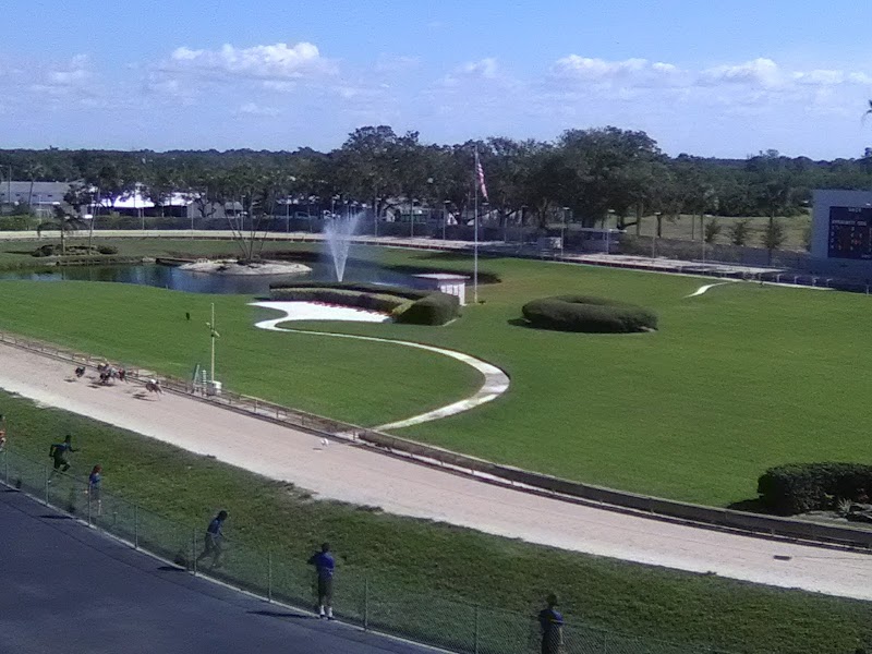 Circa 1925 at Derby Lane Greyhound Track image 4