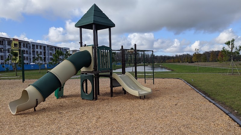 Play Tampa Bay image 5