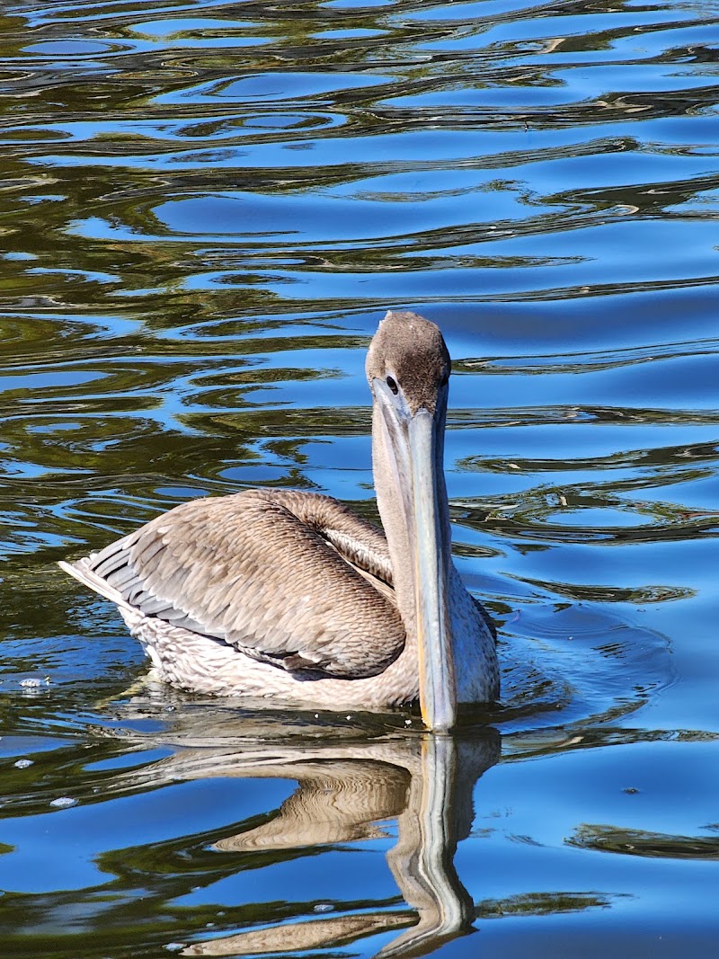 Crisp Park Boat Ramp image 3