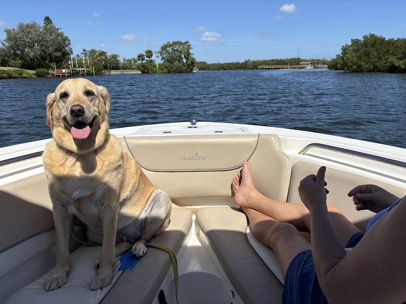 St. Petersburg Boat Charters and Tours - By Local Boat Charter image 2