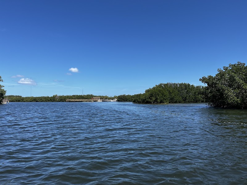 St. Petersburg Boat Charters and Tours - By Local Boat Charter image 5