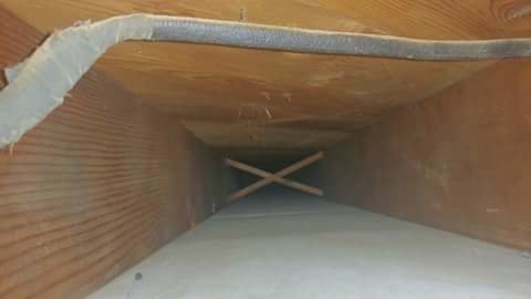 A&amp;P Pest control Service and Dryer vent &amp; air duct cleaning of FL image 3