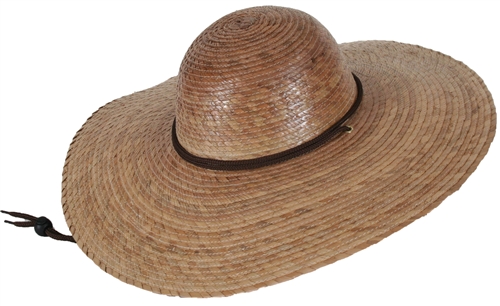 It's Our Nature image 2