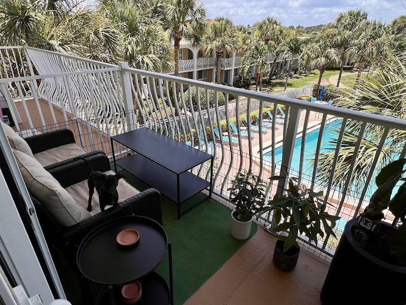 Snell Isle Apartments image 5