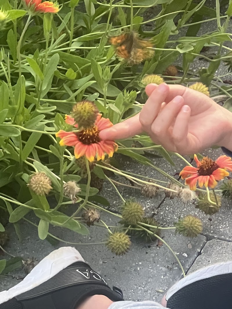 Janicki Environmental, Inc. image 1