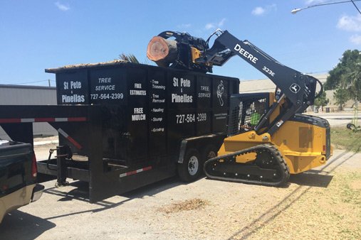 On Demand Tree Service image 1